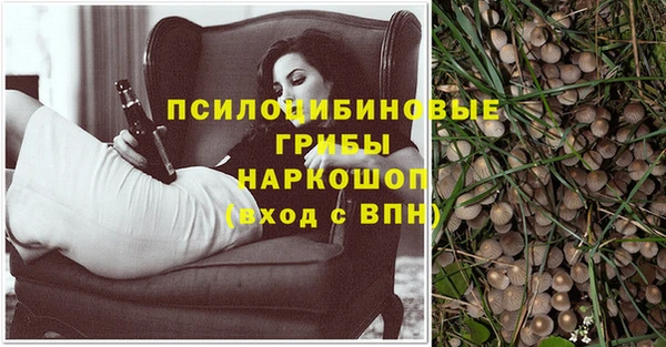 мдма Бородино
