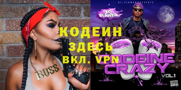 крисы Бронницы