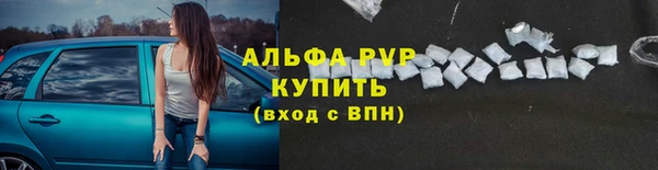 сатива Верея
