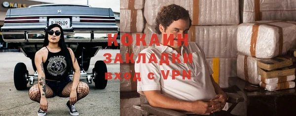 крисы Бронницы