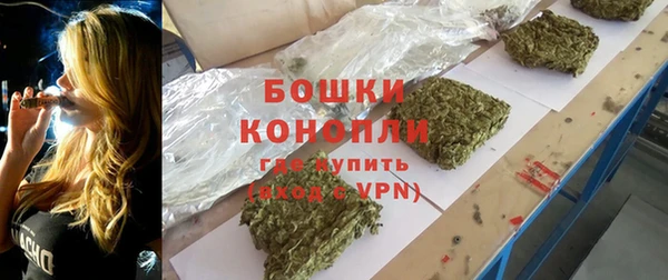 прущие грибы Покачи
