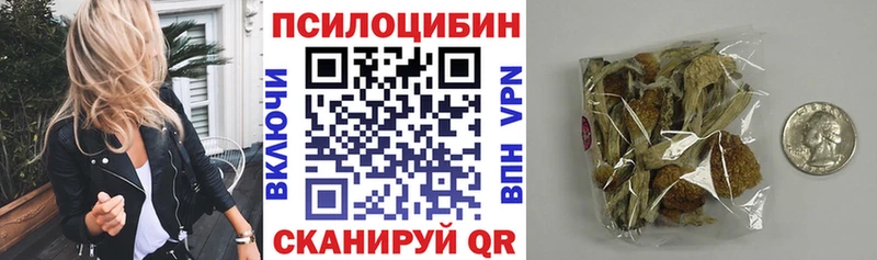 Галлюциногенные грибы мицелий  купить закладку  Брянск 