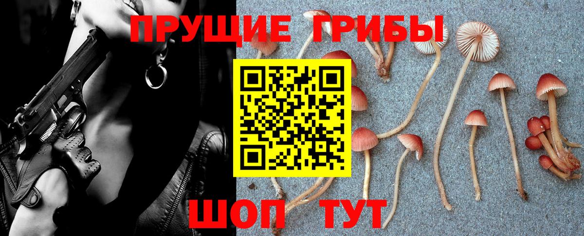 Брянск  Галлюциногенные грибы ЛСД  Вход с VPN  Галлюциногенные грибы мухоморы 