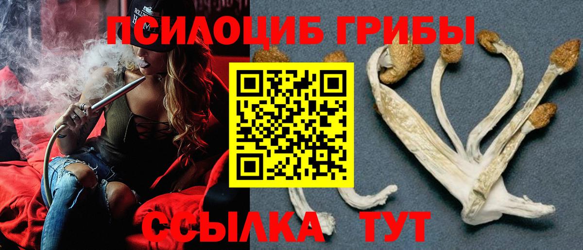 Галлюциногенные грибы ЛСД Брянск