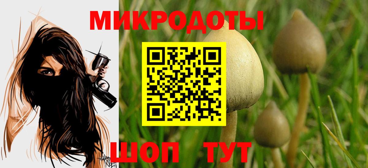 Галлюциногенные грибы прущие грибы Брянск